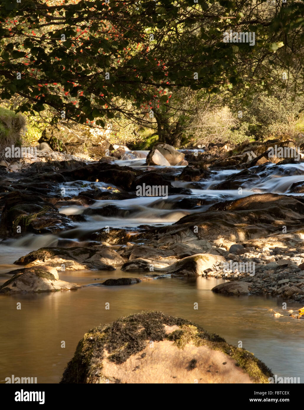 Brown colored water in small stream in valley Stock Photo
