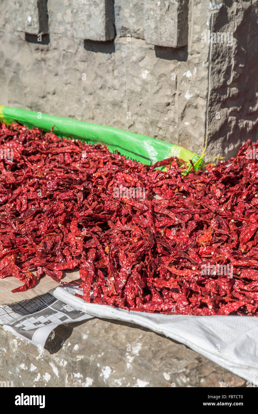Hot red chili peppers drying out in the sunshine. Kohima Market ...