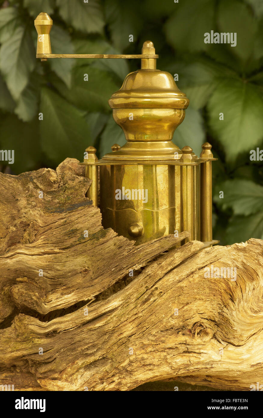 Old coffee grinder with root Stock Photo Alamy