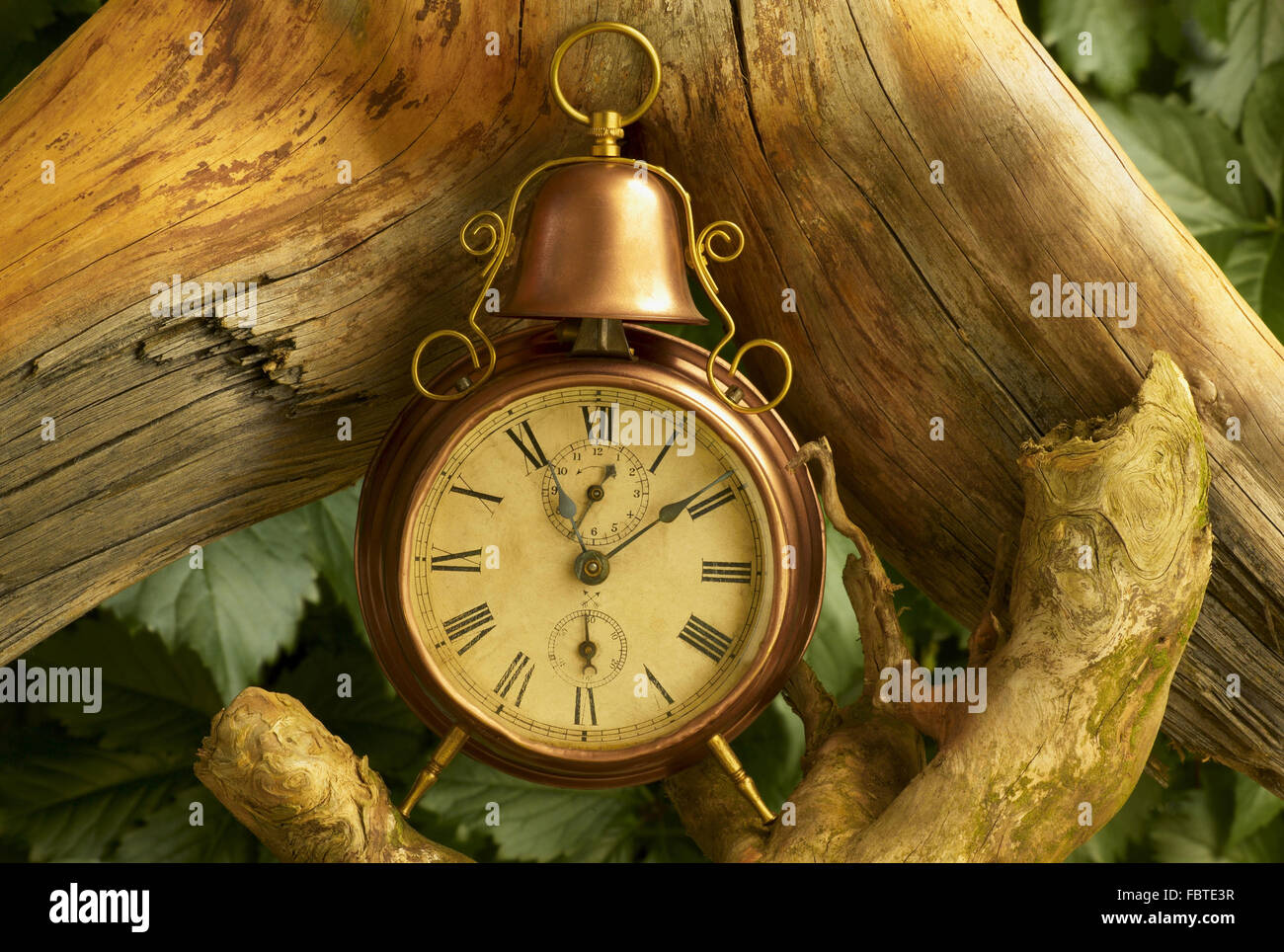 Clock with roots Stock Photo Alamy