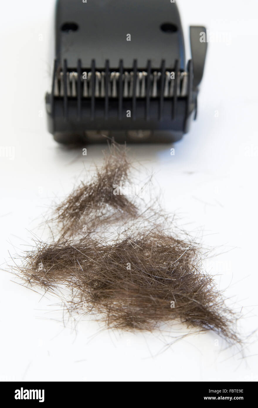 cut hair and clipper Stock Photo