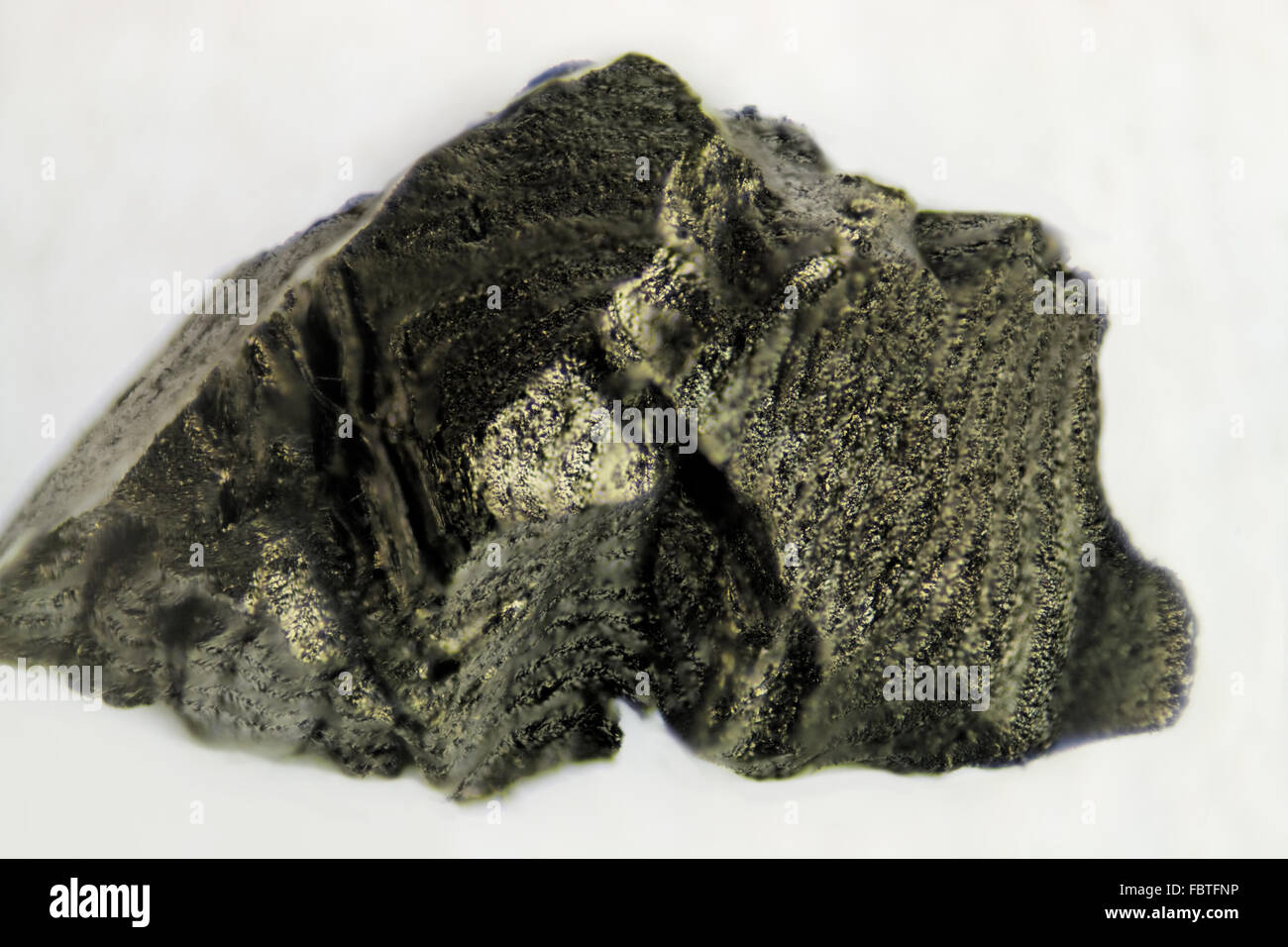 Activated carbon 10xfach Stock Photo