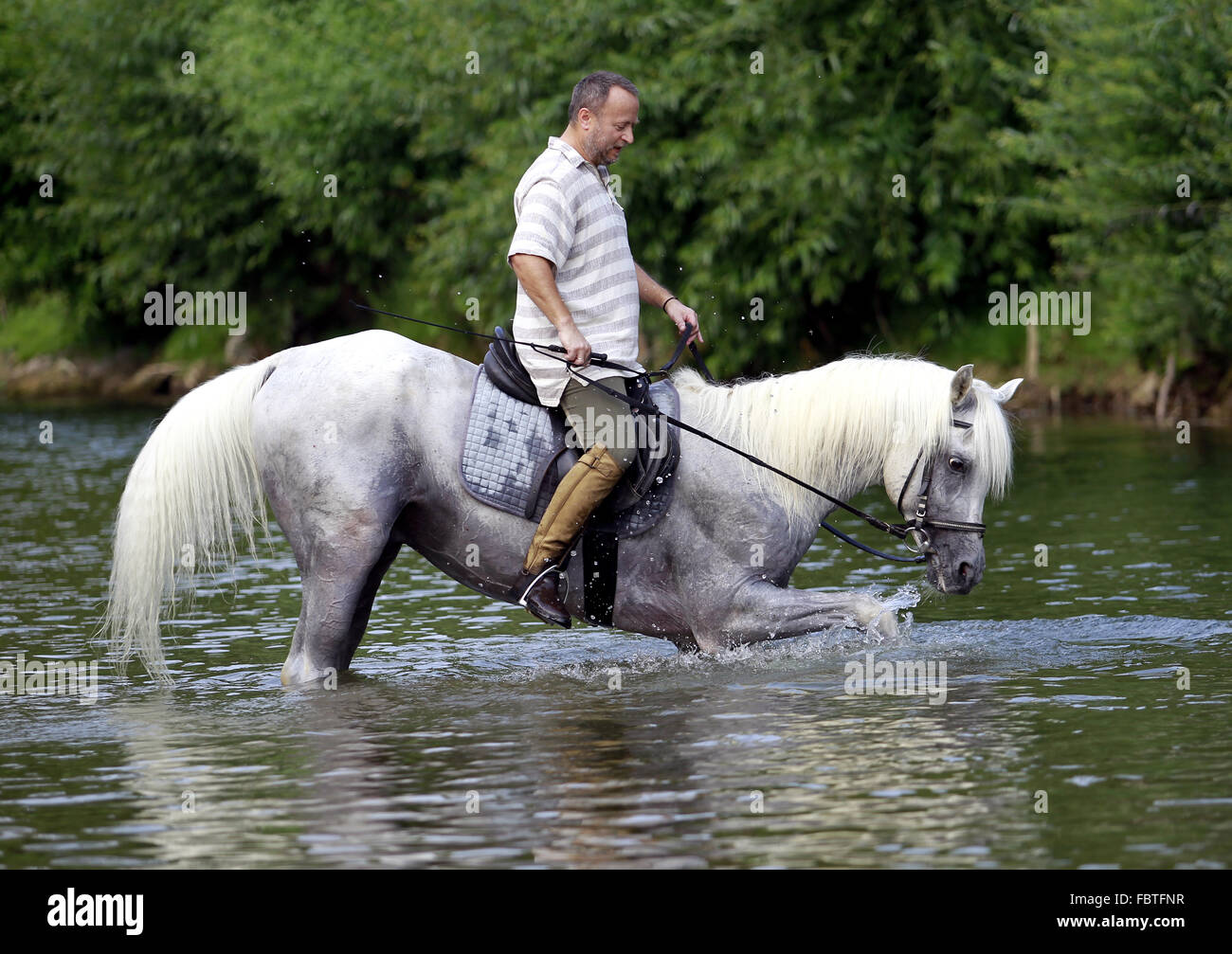 A man riding a horse Stock Photo - Alamy