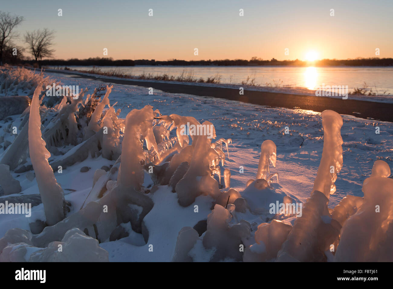 Rows of plants covered in ice from the spray of water off the lake.  The ice begins to glow from the last light at the end of th Stock Photo