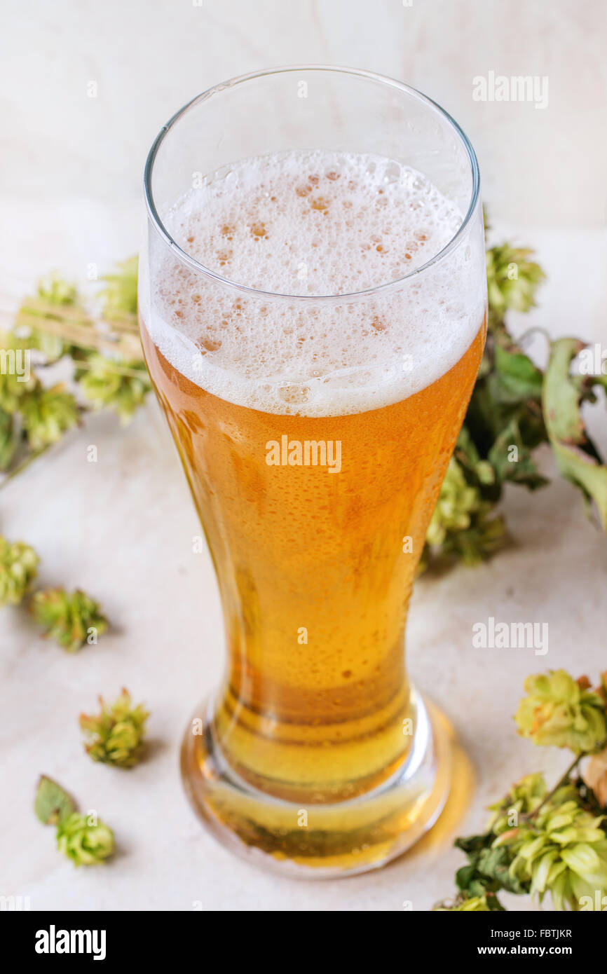 Glass of lager beer Stock Photo Alamy