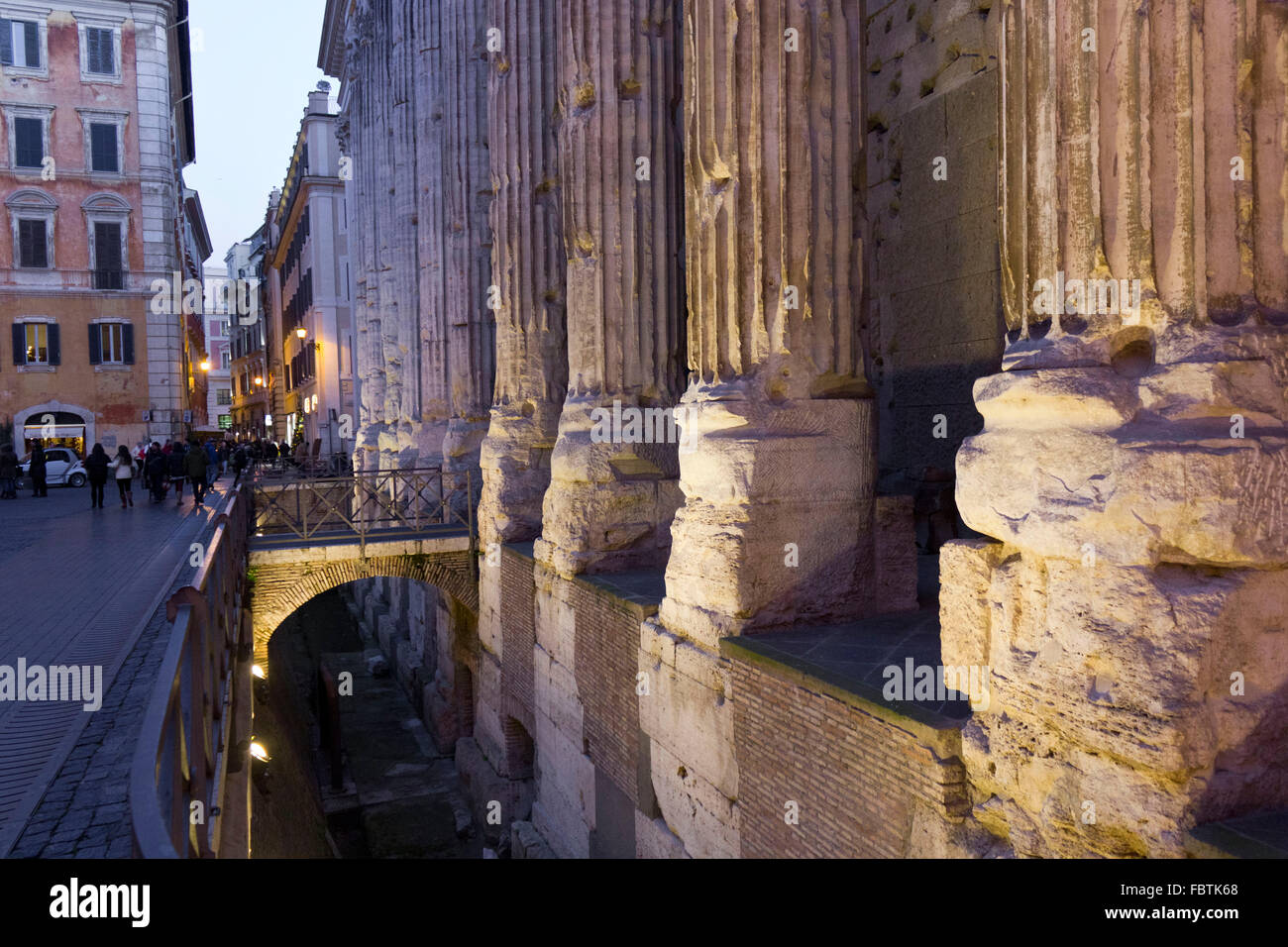 ROME, ITALY - DECEMBER 30 2014: Close up of the columns of Hadrian ...