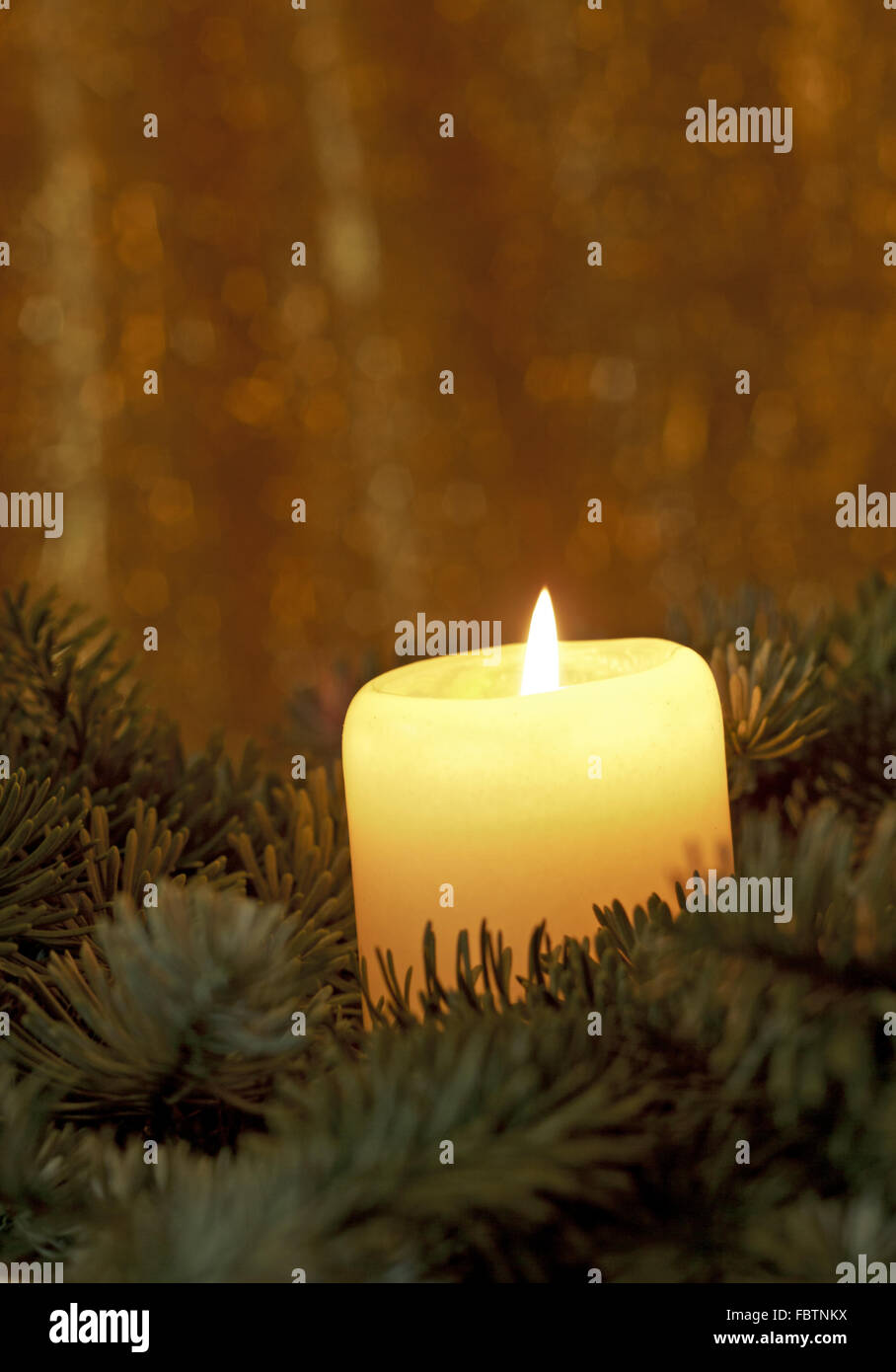 Candle in the greenery Stock Photo