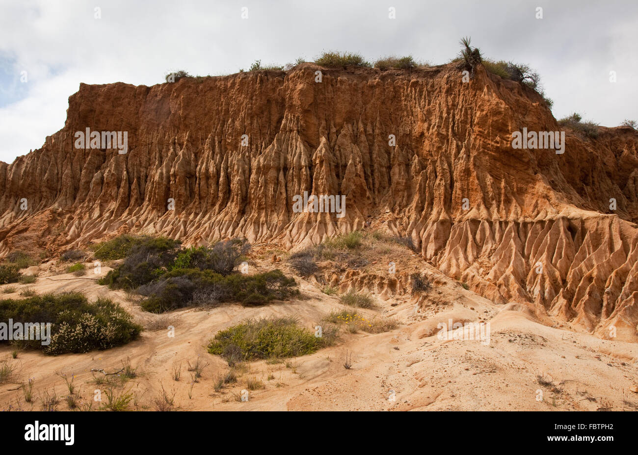 Rugged razor edged erosion in the sandstone on Torrey Pines hillside Stock Photo