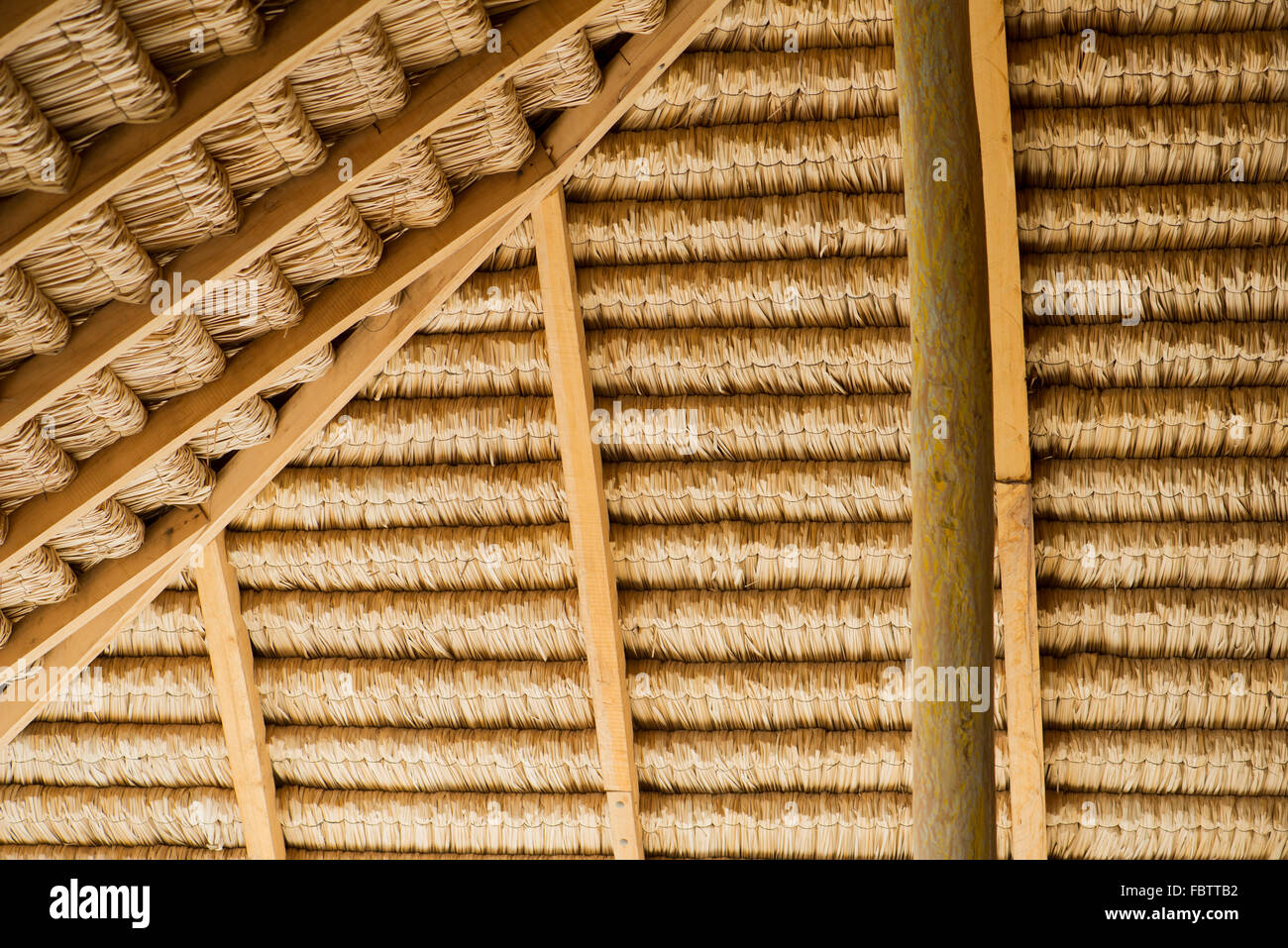 Underside of thatched roof Stock Photo Alamy