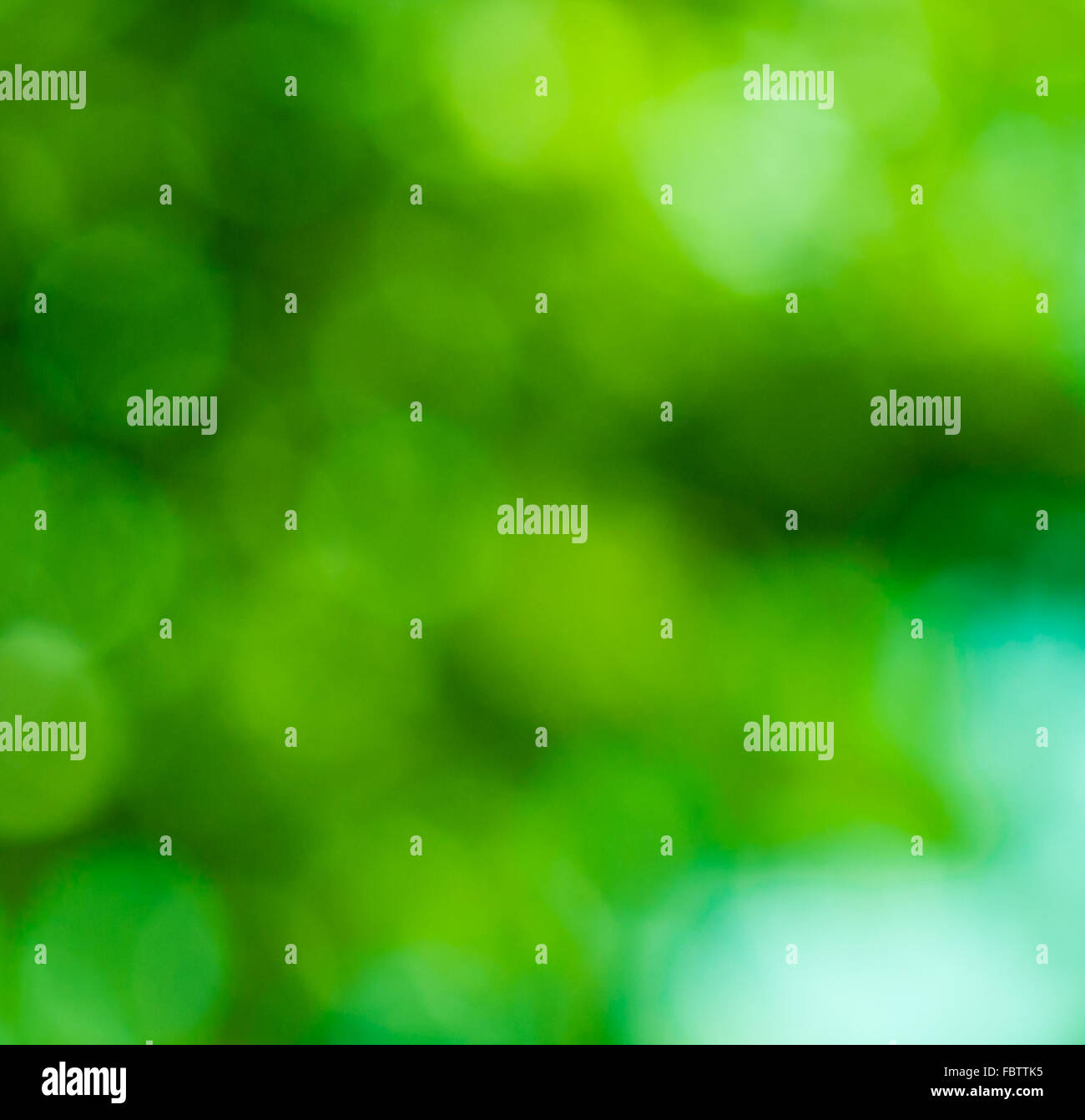 abstract green bokeh, perfect summer background Stock Photo