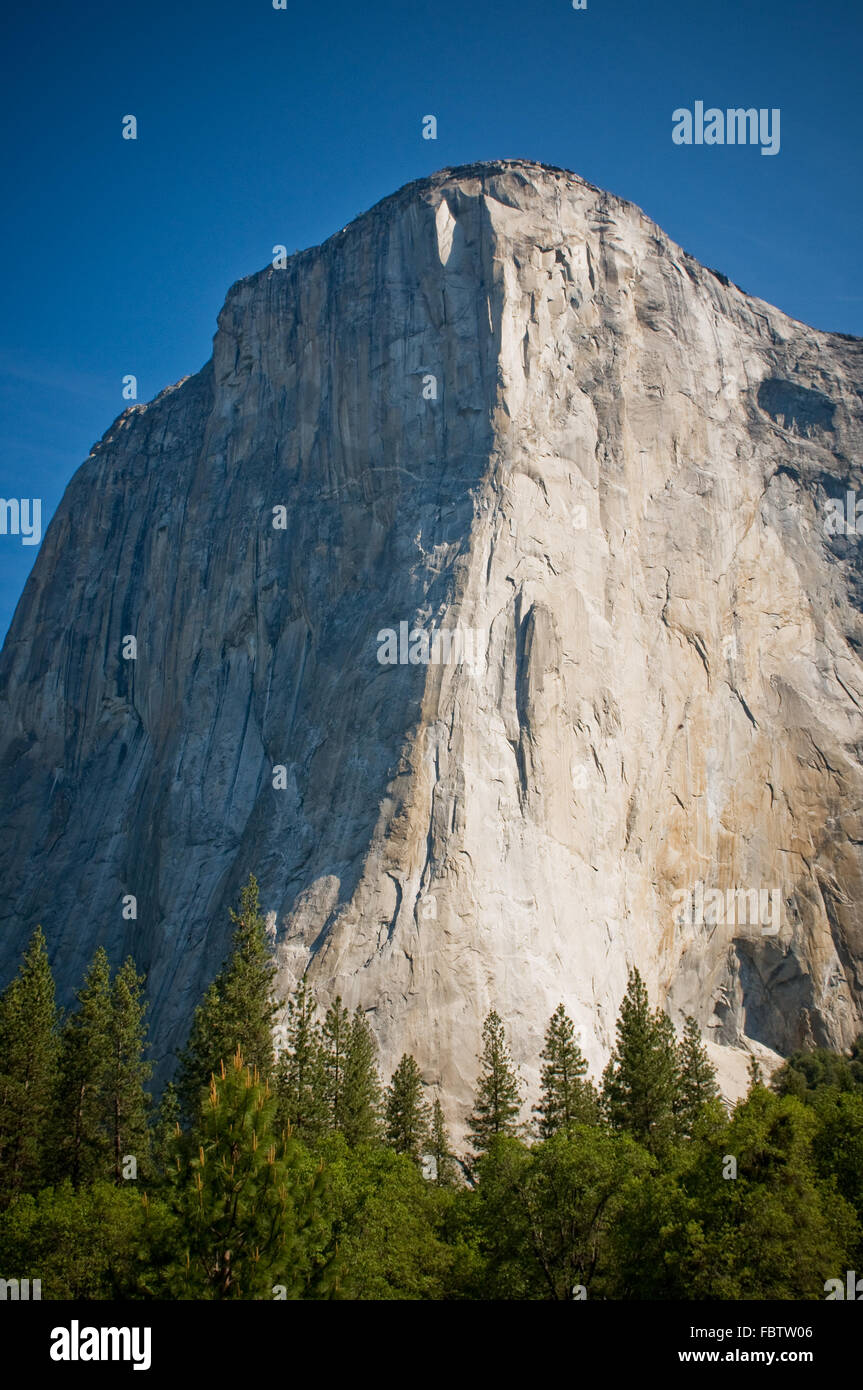 El Capitan Rock, Yosemite National Park, California, USA Stock Photo