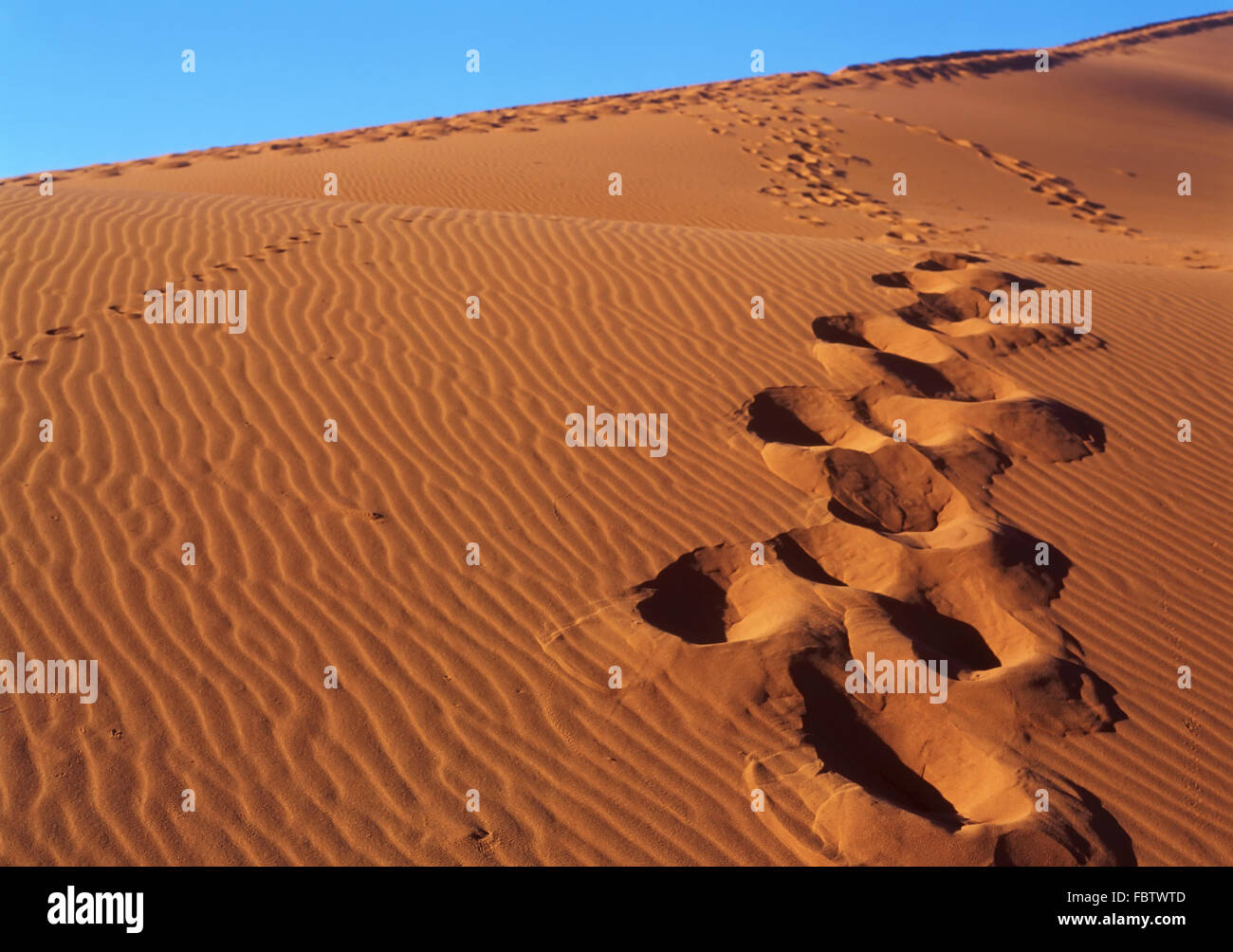 Footprint on sand Stock Photo