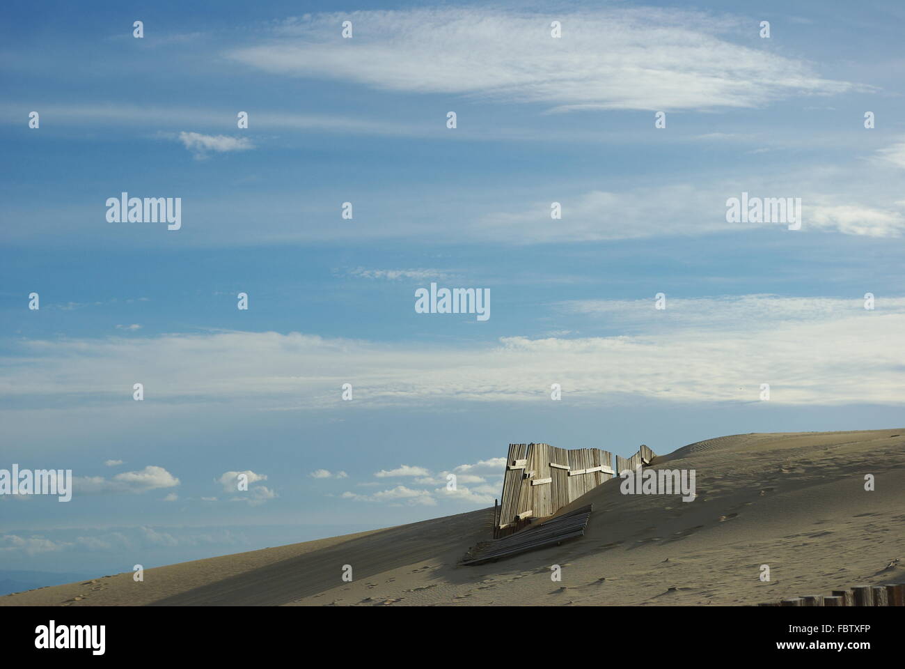 Sanddune Stock Photo