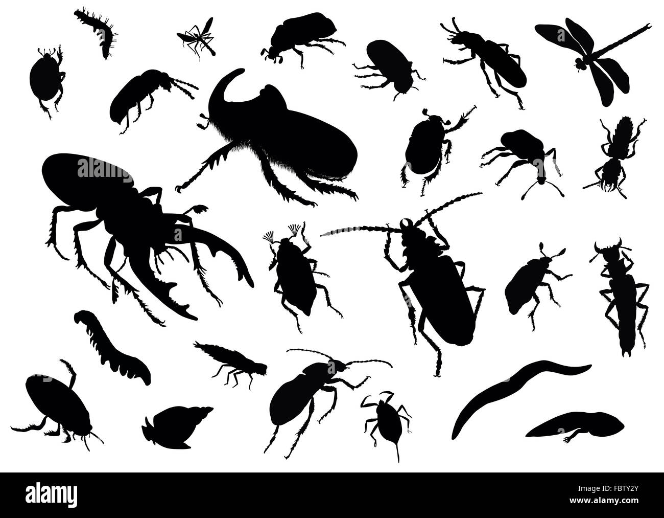 Zodiac insects hires stock photography and images Alamy