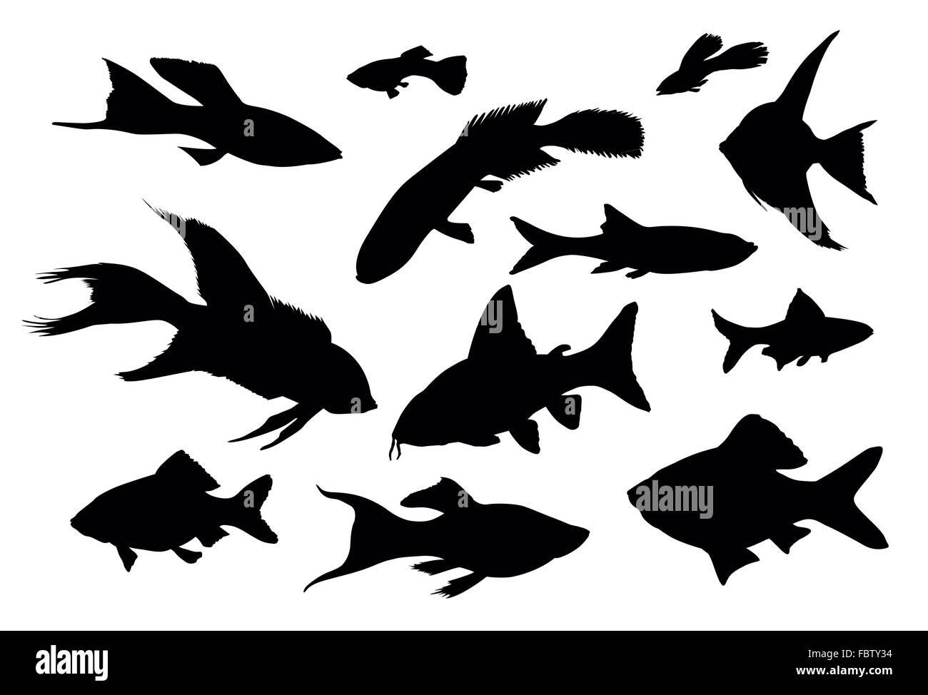 Fish collection Stock Photo
