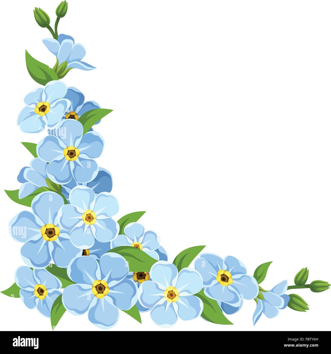 Blue forget-me-not flowers. Vector illustration Stock Vector Image & Art -  Alamy