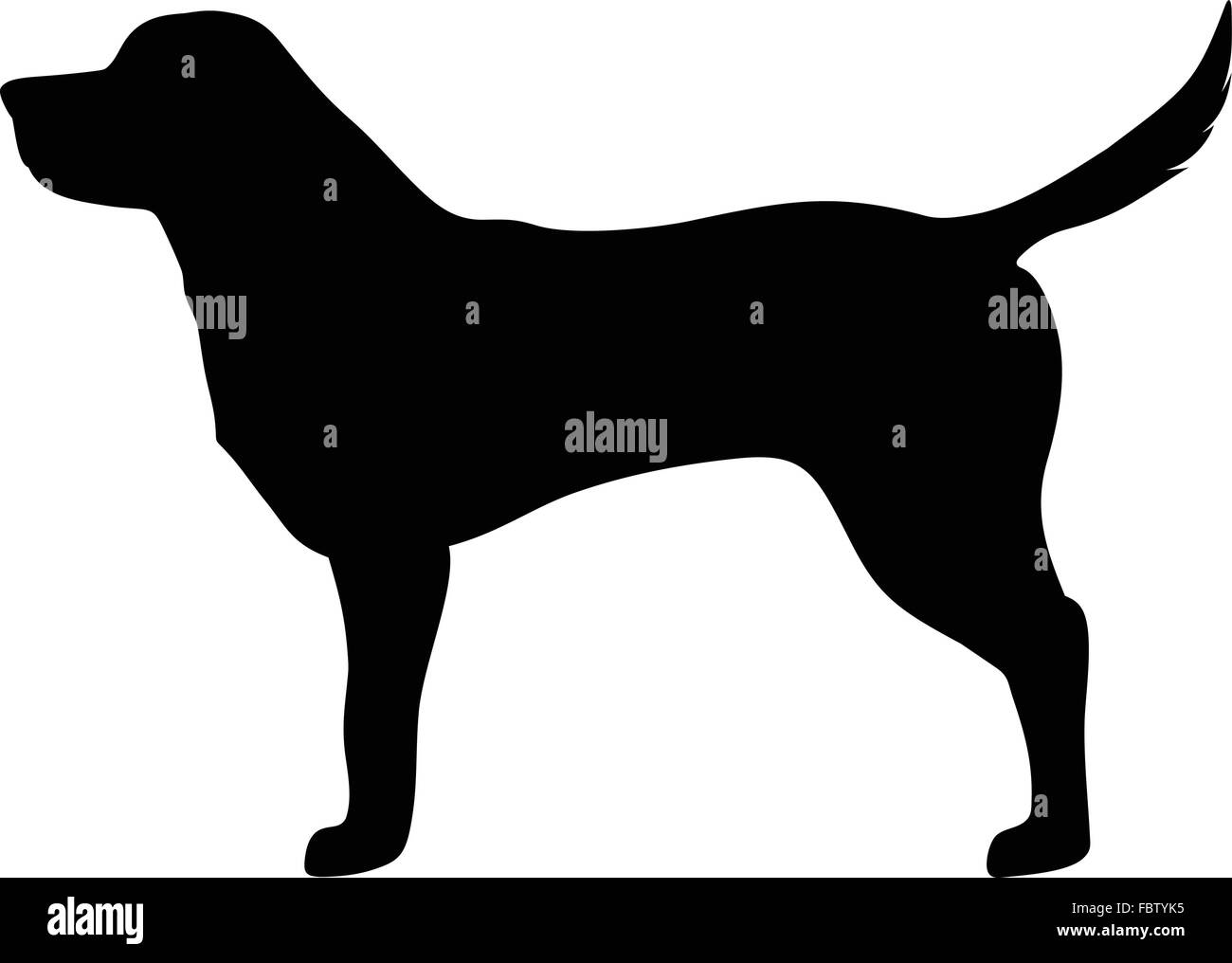 Labrador retriever dog. Vector black silhouette. Stock Vector