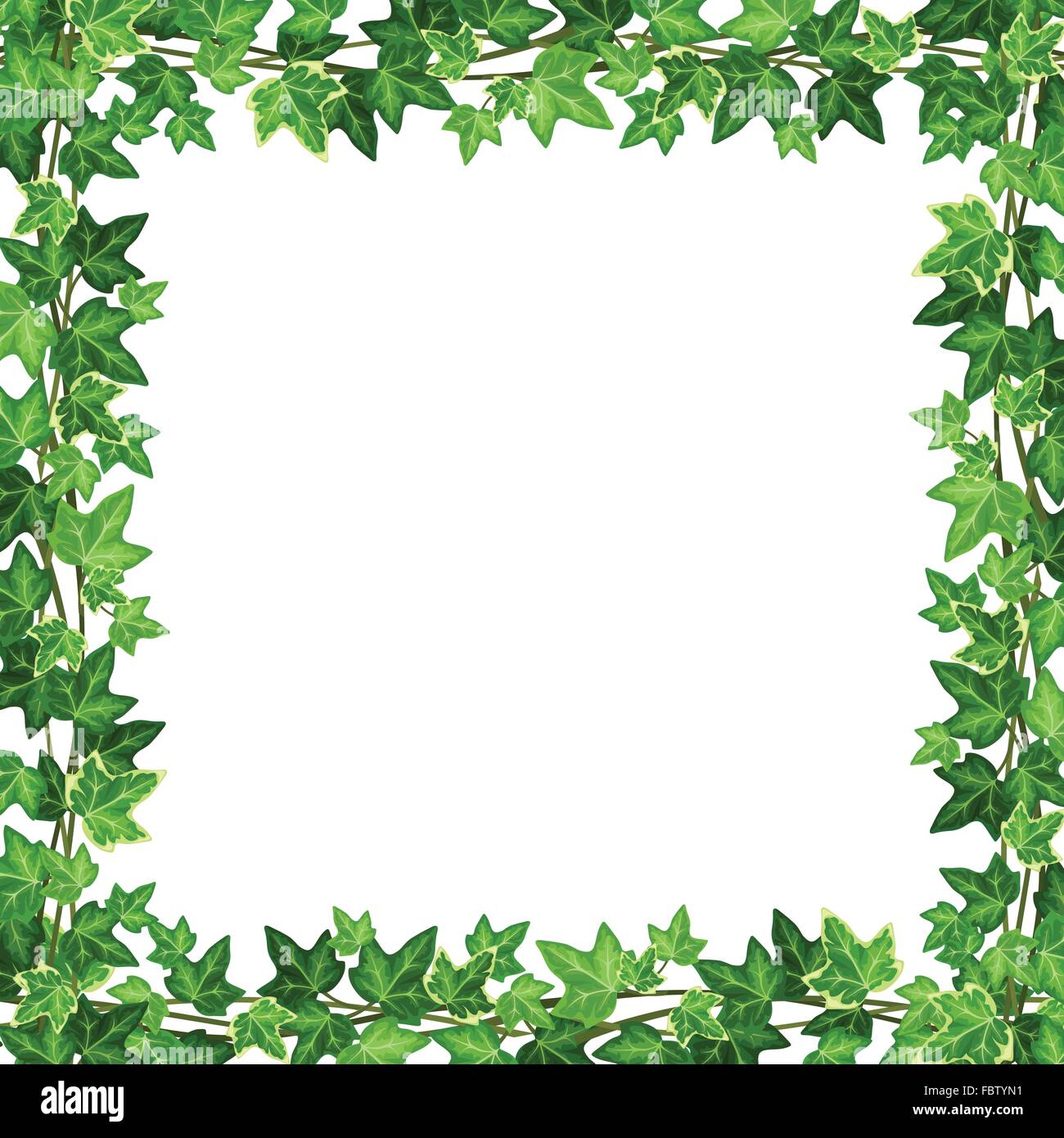Frame with green ivy leaves. Vector illustration Stock Vector Image