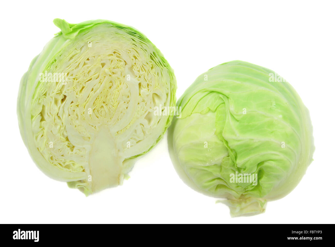 Cabbage head cut on two halfs.. Stock Photo