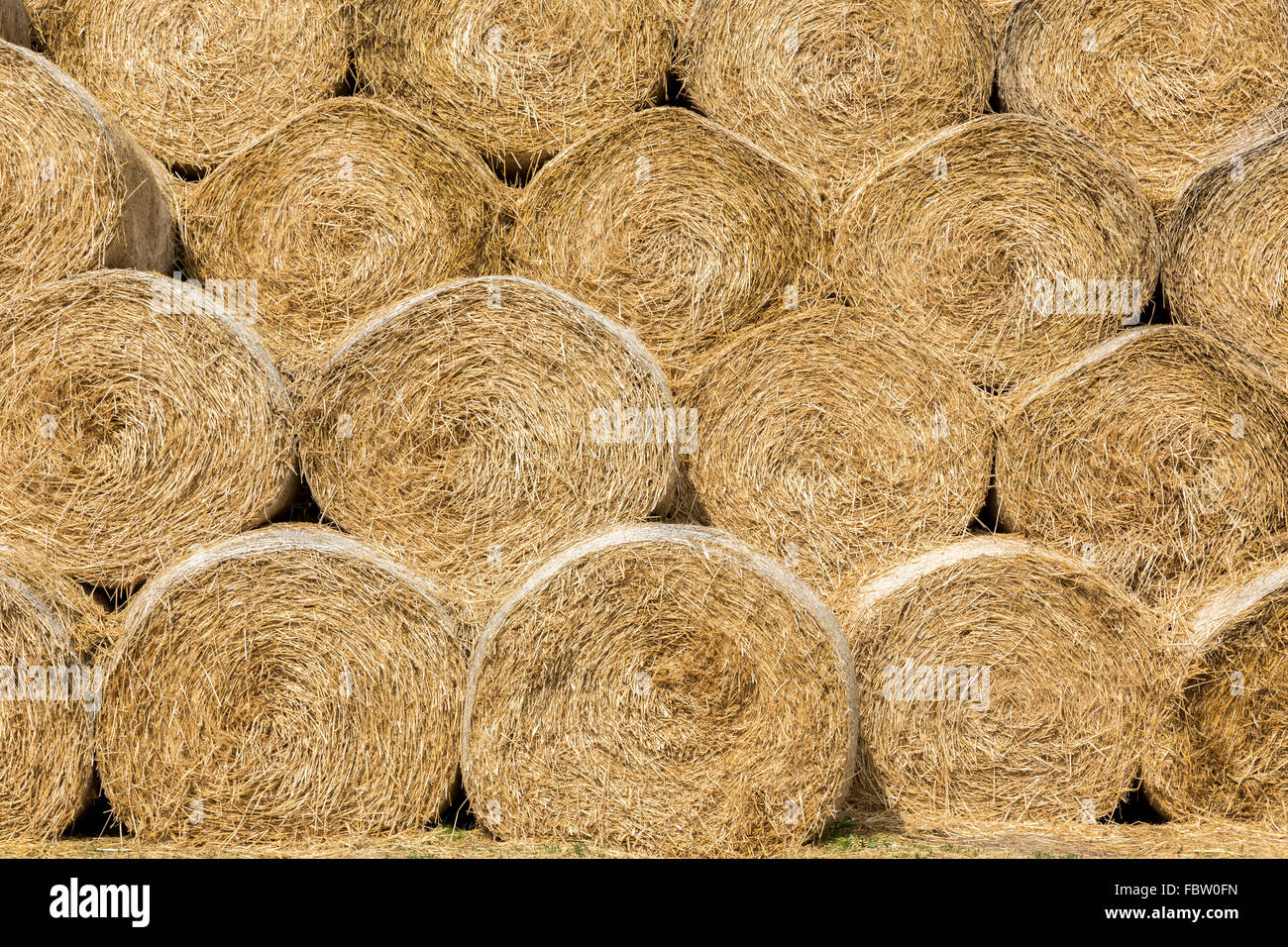 Close up of stacked hay bales on farm in Worcestershire Stock Photo