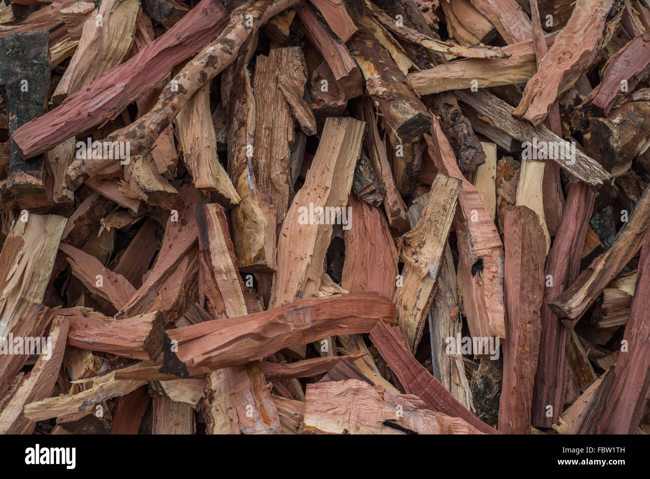 Close-up detail of Wood Chipings. INDIA Stock Photo