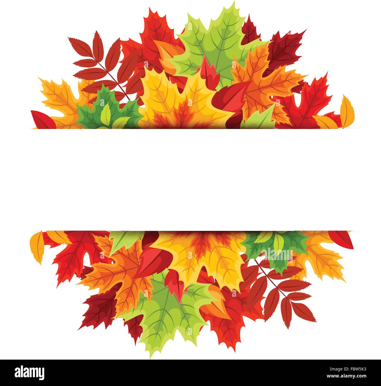 Banner with colorful autumn leaves. Vector illustration Stock Vector ...
