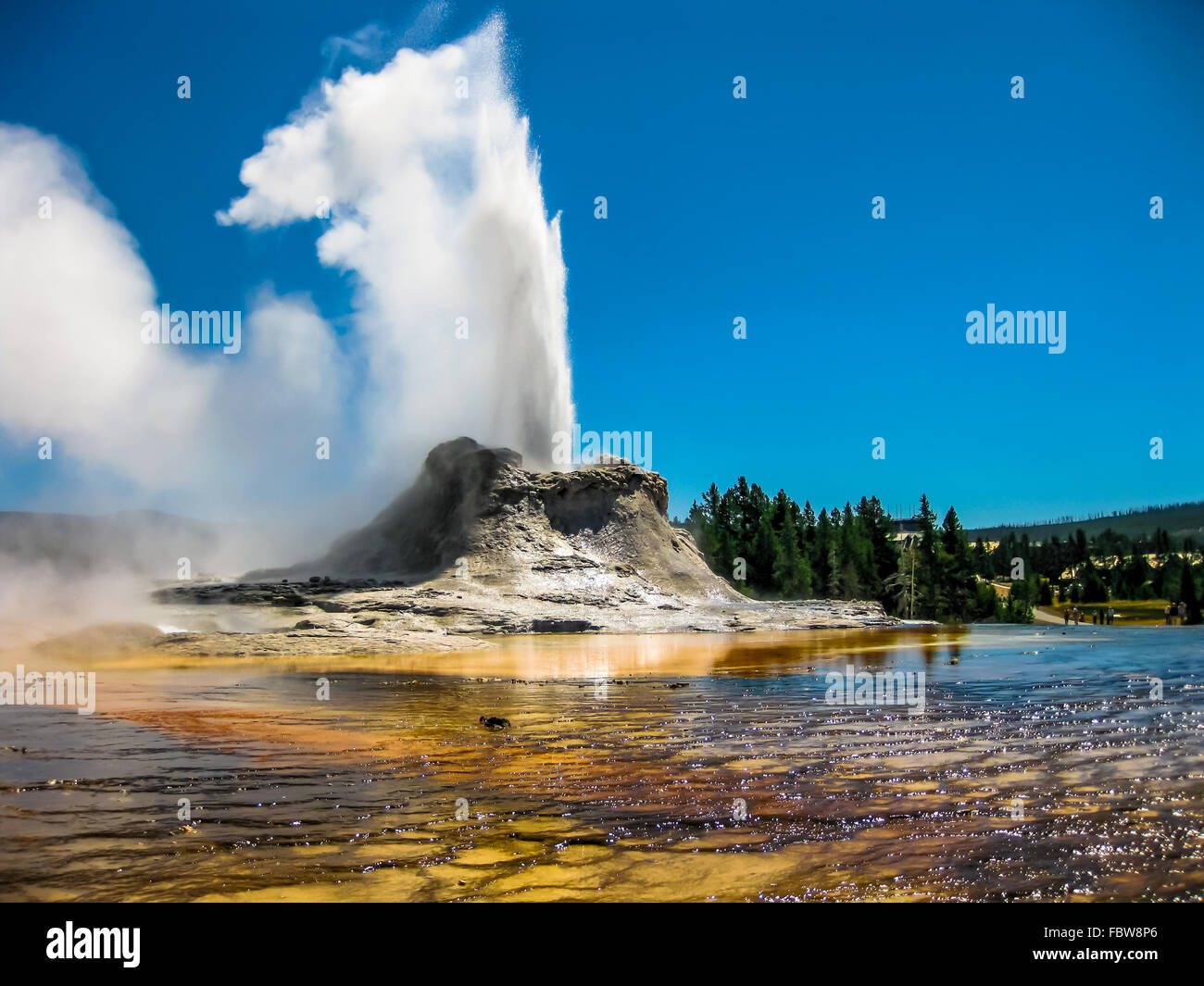 Castle Geyser Eruption Yellowstone Stock Photo - Alamy