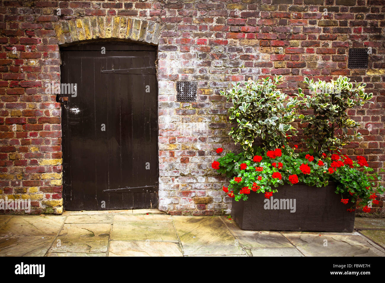 Brick Red Flowers High Resolution Stock Photography and Images Alamy