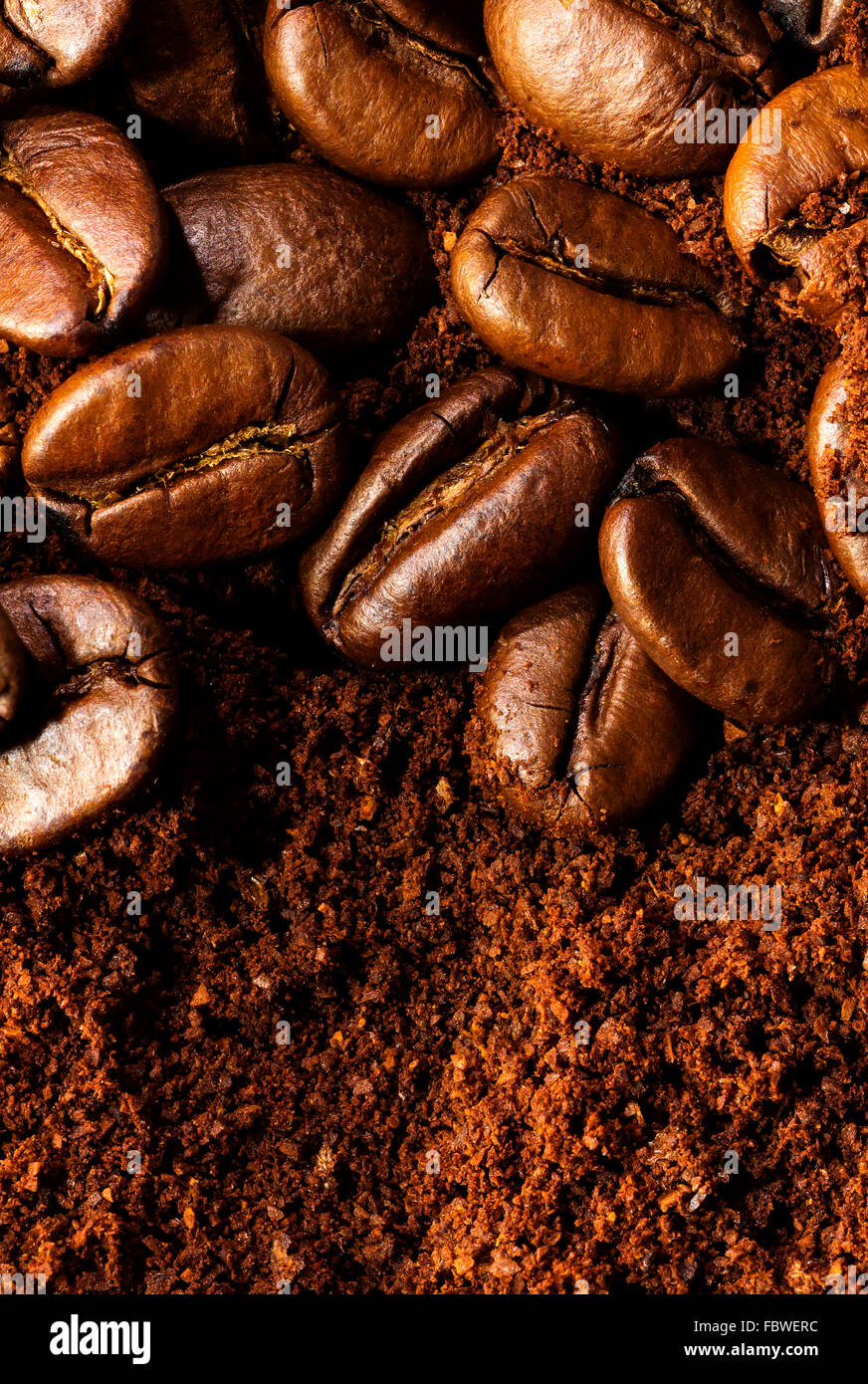 Coffee Beans & Coffee Powder Stock Photo