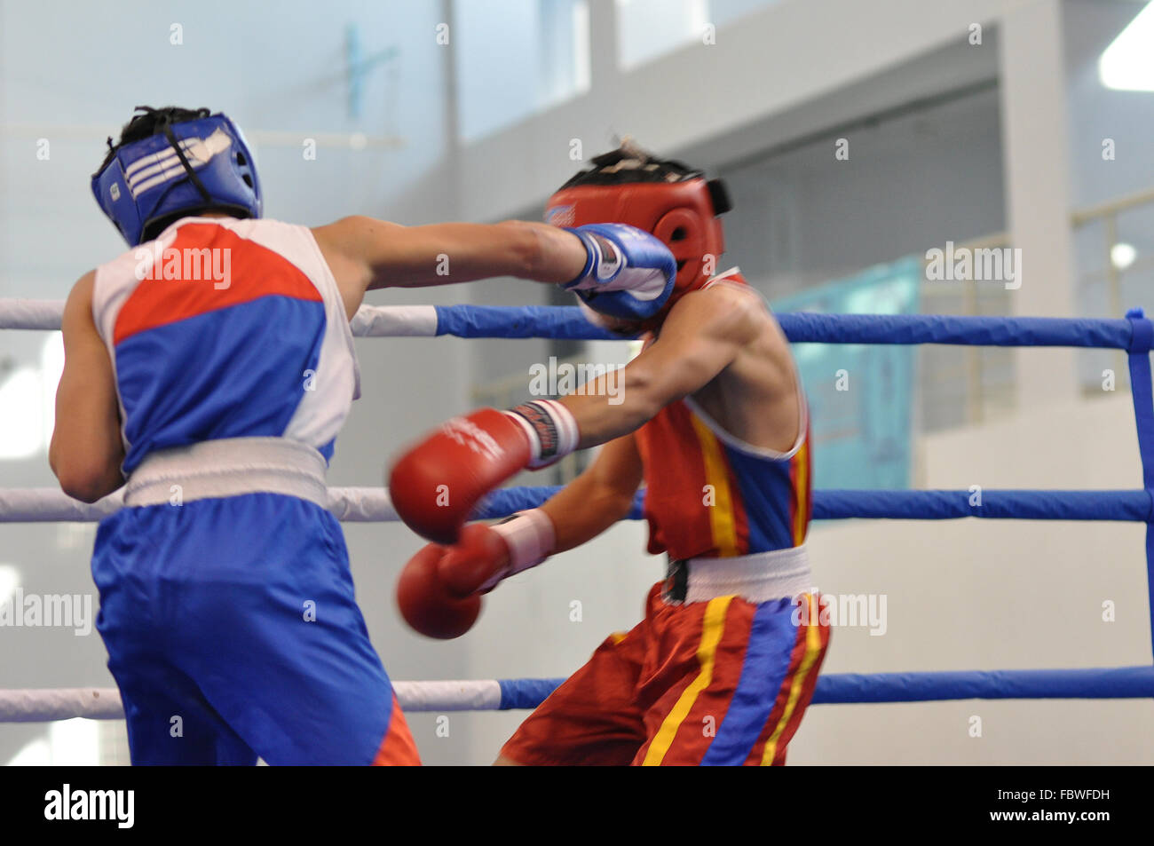 Boxing among Juniors Stock Photo