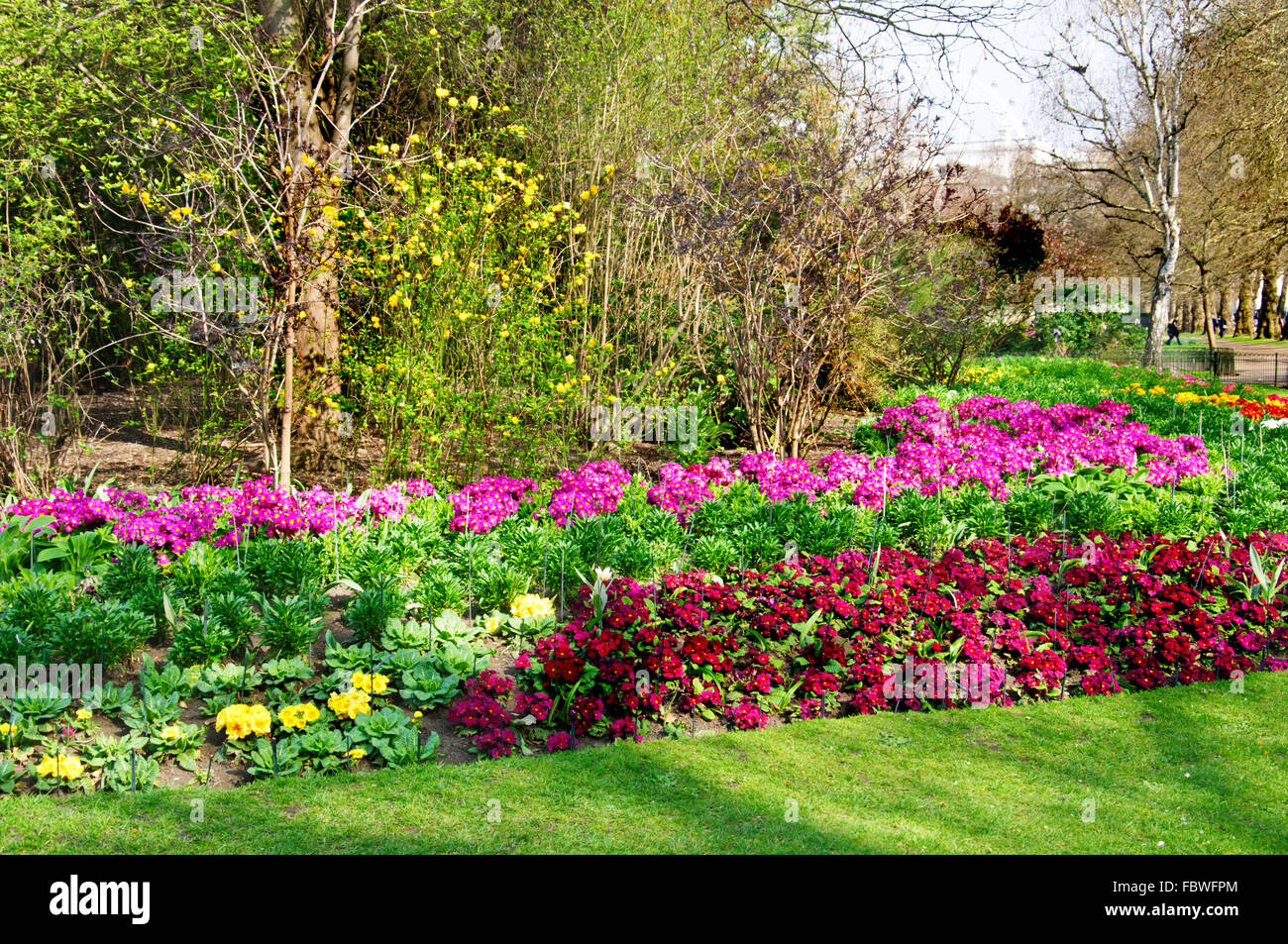 Plants in spring st hi-res stock photography and images - Alamy