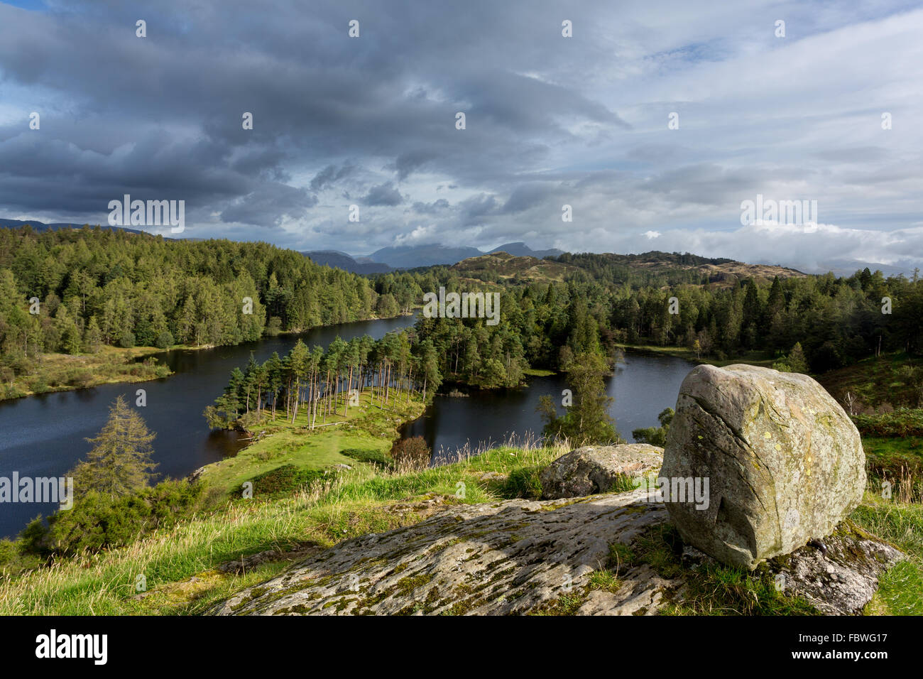 View over Tarn Hows in English Lake District Stock Photo