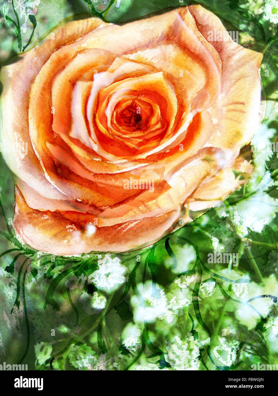 rose on green background Stock Photo - Alamy