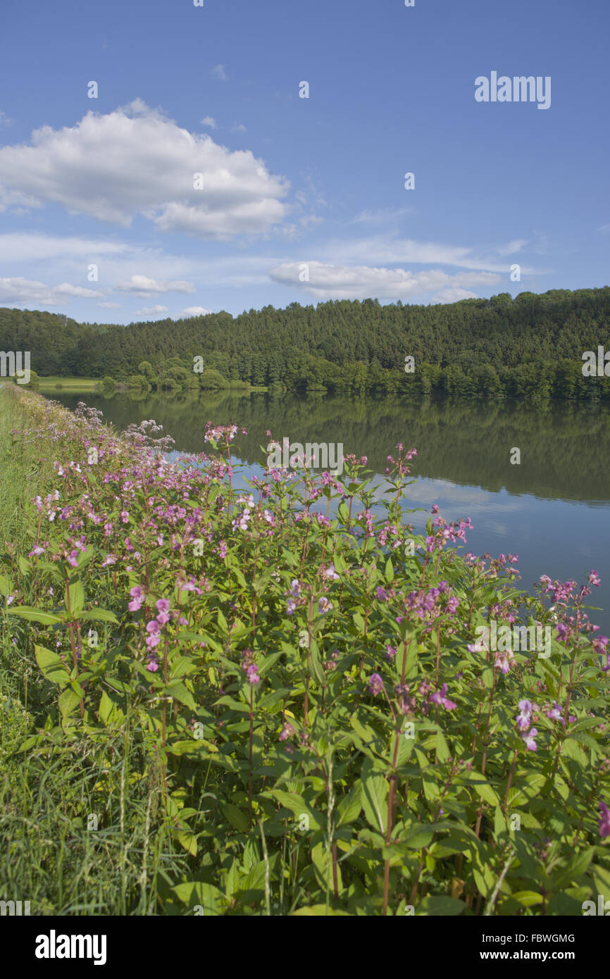 reservoir Ehreshoven Stock Photo