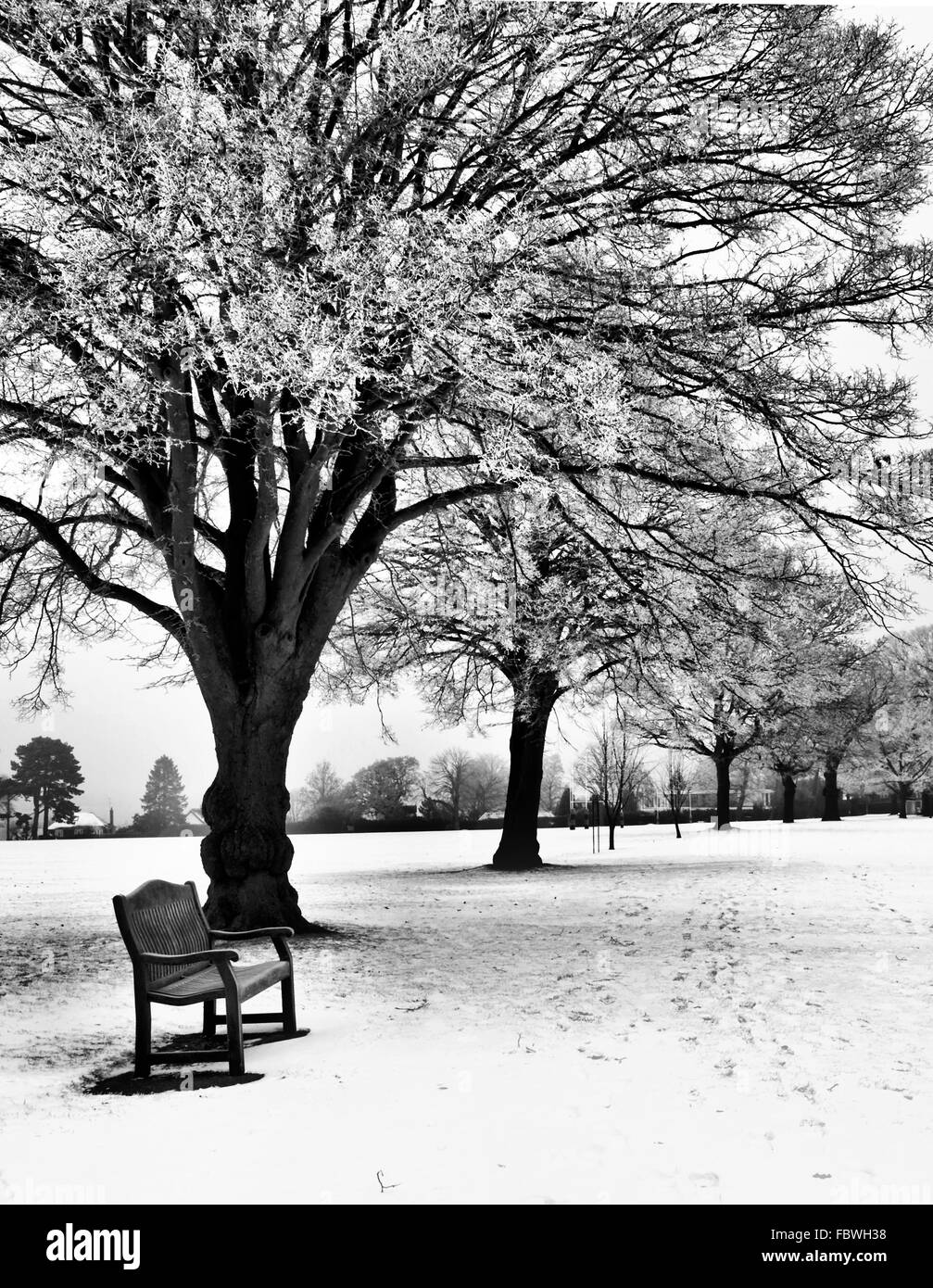 Snowy day Black and White Stock Photos & Images - Alamy