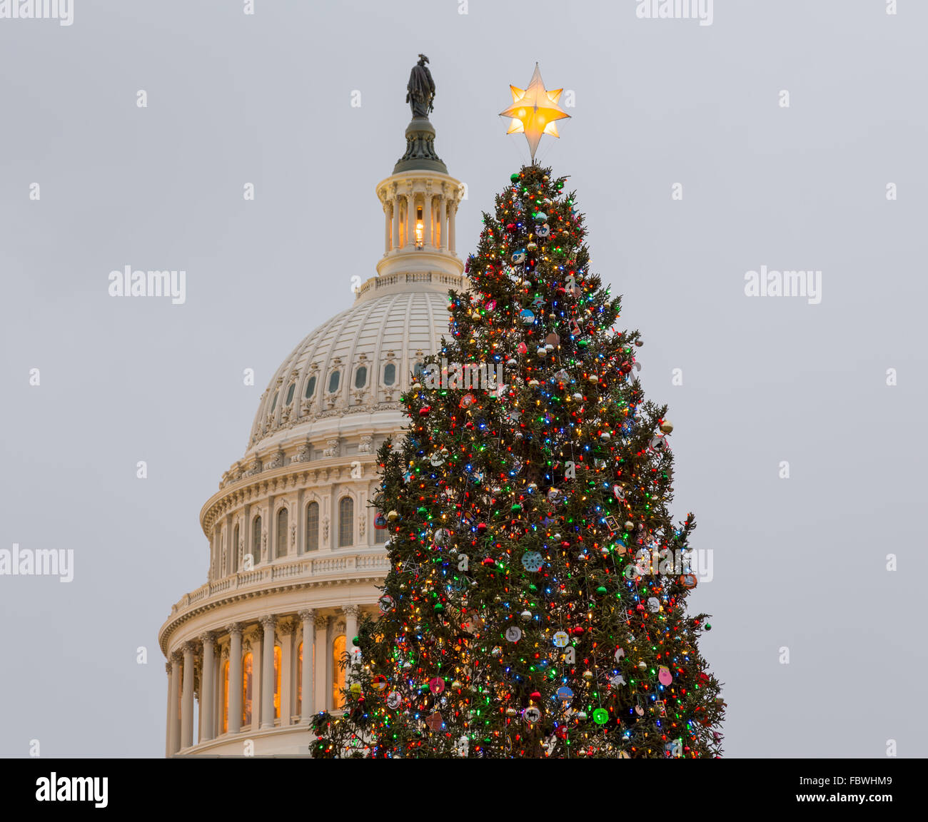 Christmas tree in front of Capitol Washington DC Stock Photo Alamy