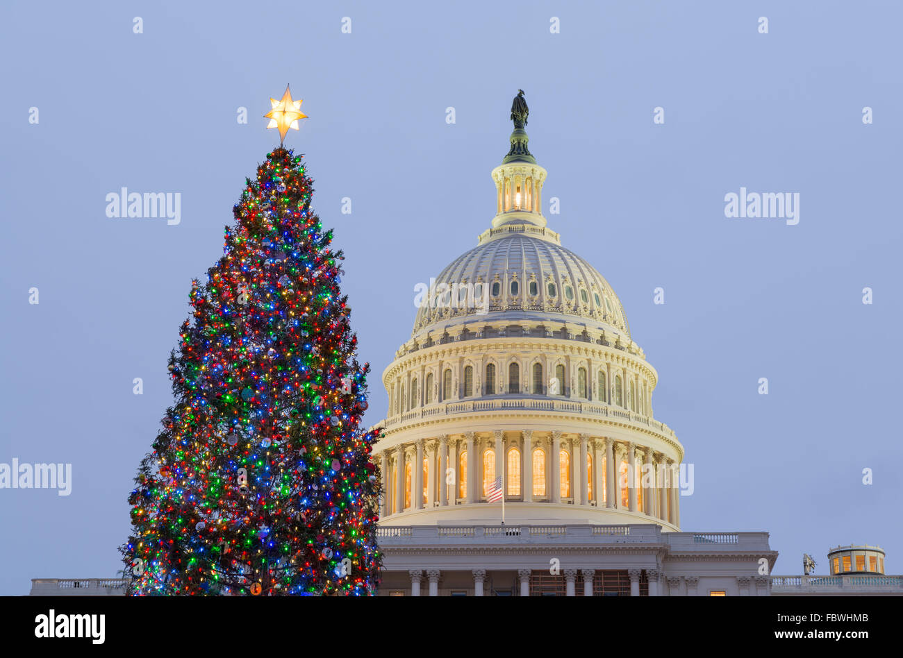 Christmas tree in front of Capitol Washington DC Stock Photo Alamy