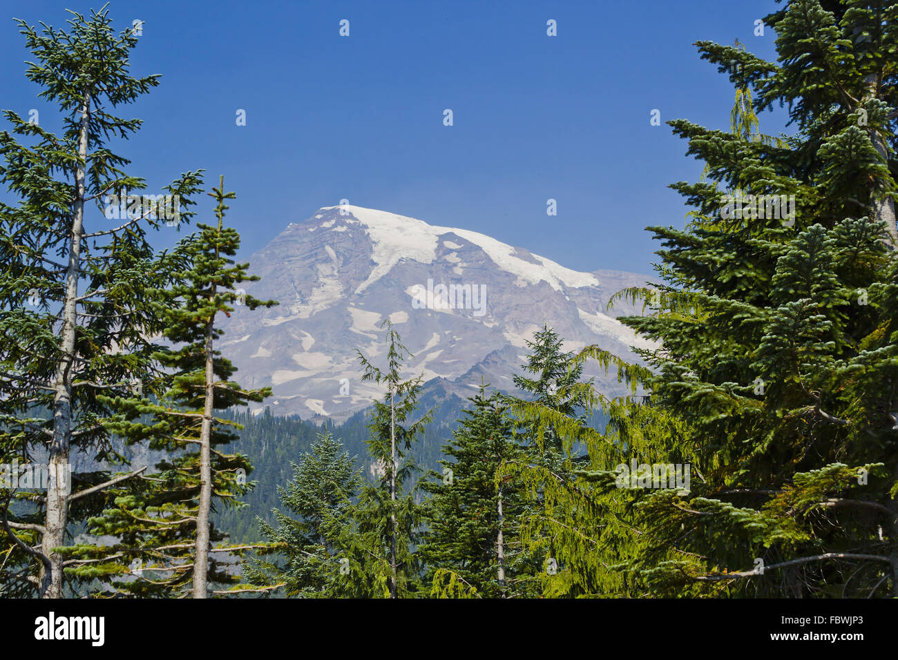 View on Mount Rainier Stock Photo