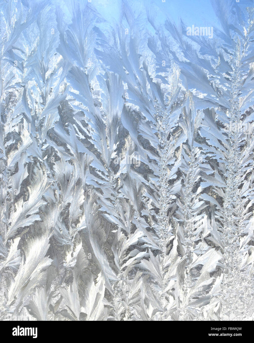 Frosty pattern at a winter window glass Stock Photo - Alamy