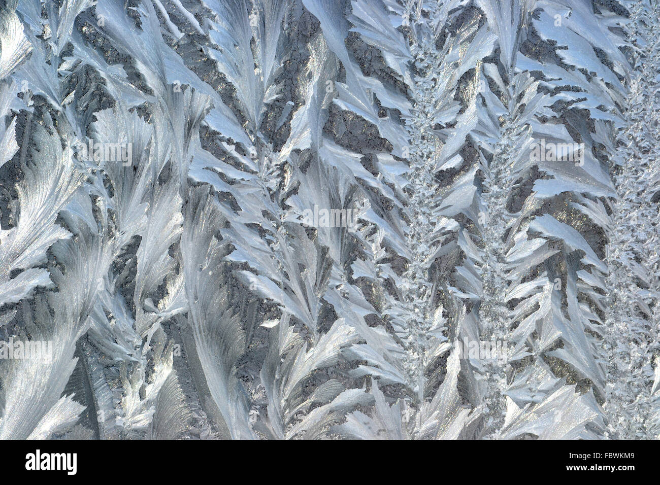 Frosty pattern at a winter window glass Stock Photo - Alamy
