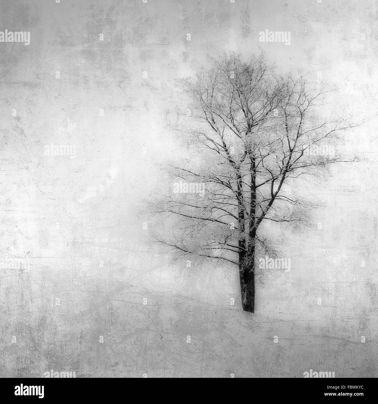 nicce yellow t shirt