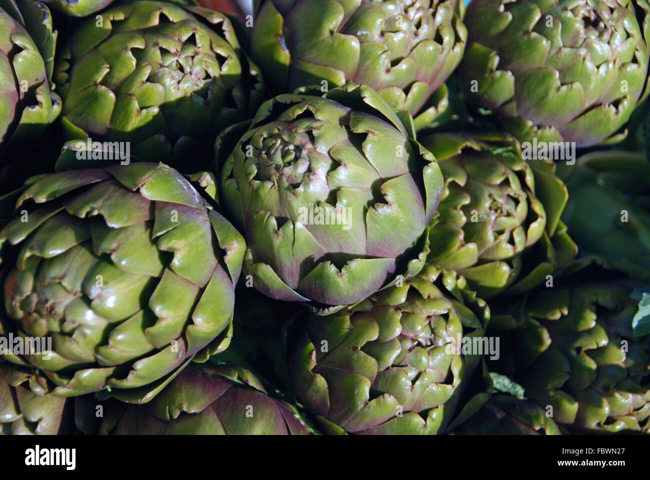 Whole buds hi-res stock photography and images - Alamy