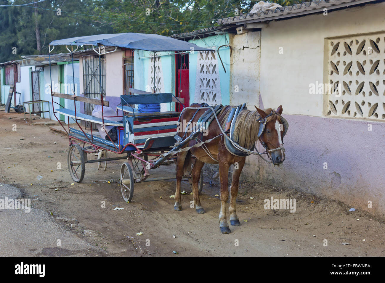 Carriage in Camaguey, Cuba Stock Photo
