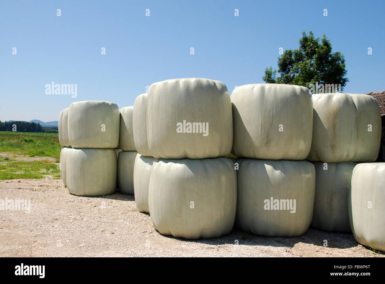 Plastic hay bales Stock Photo