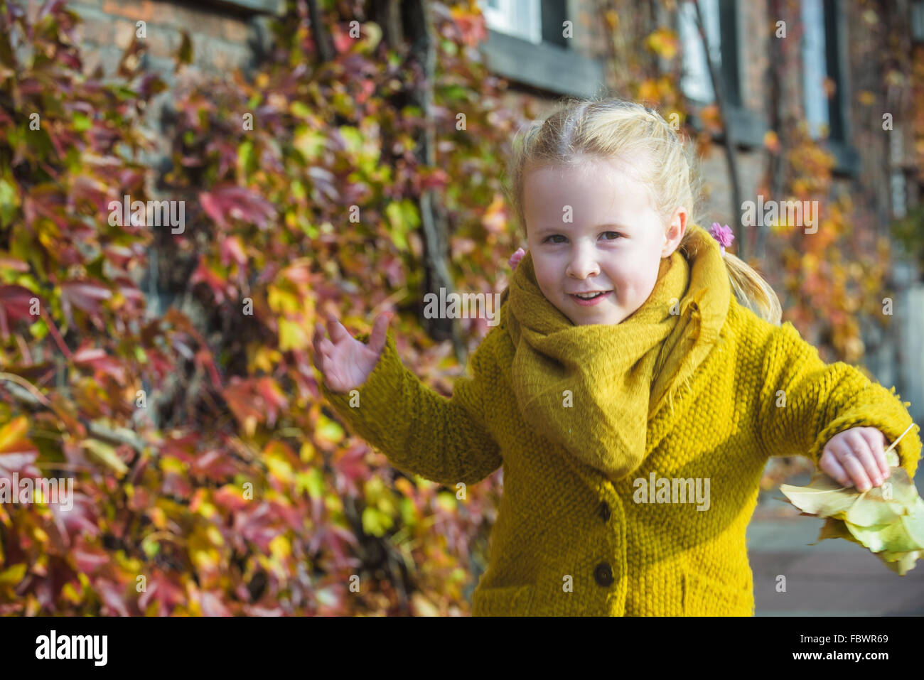 Autumn leaves as a background for a portrait for a little girl. Stock Photo