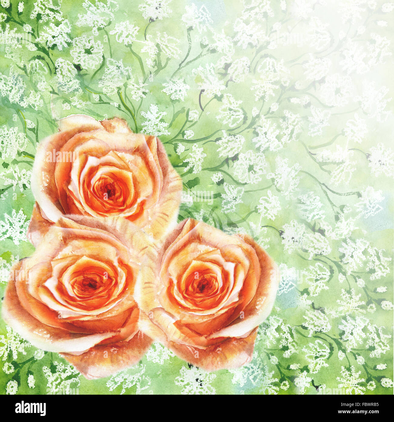 rose on green background Stock Photo - Alamy