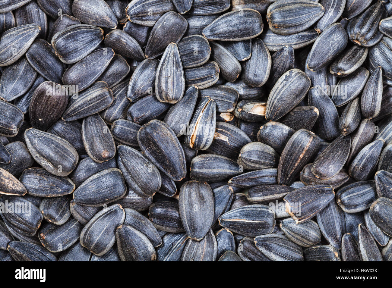 Roasted sunflower hi-res stock photography and images - Alamy
