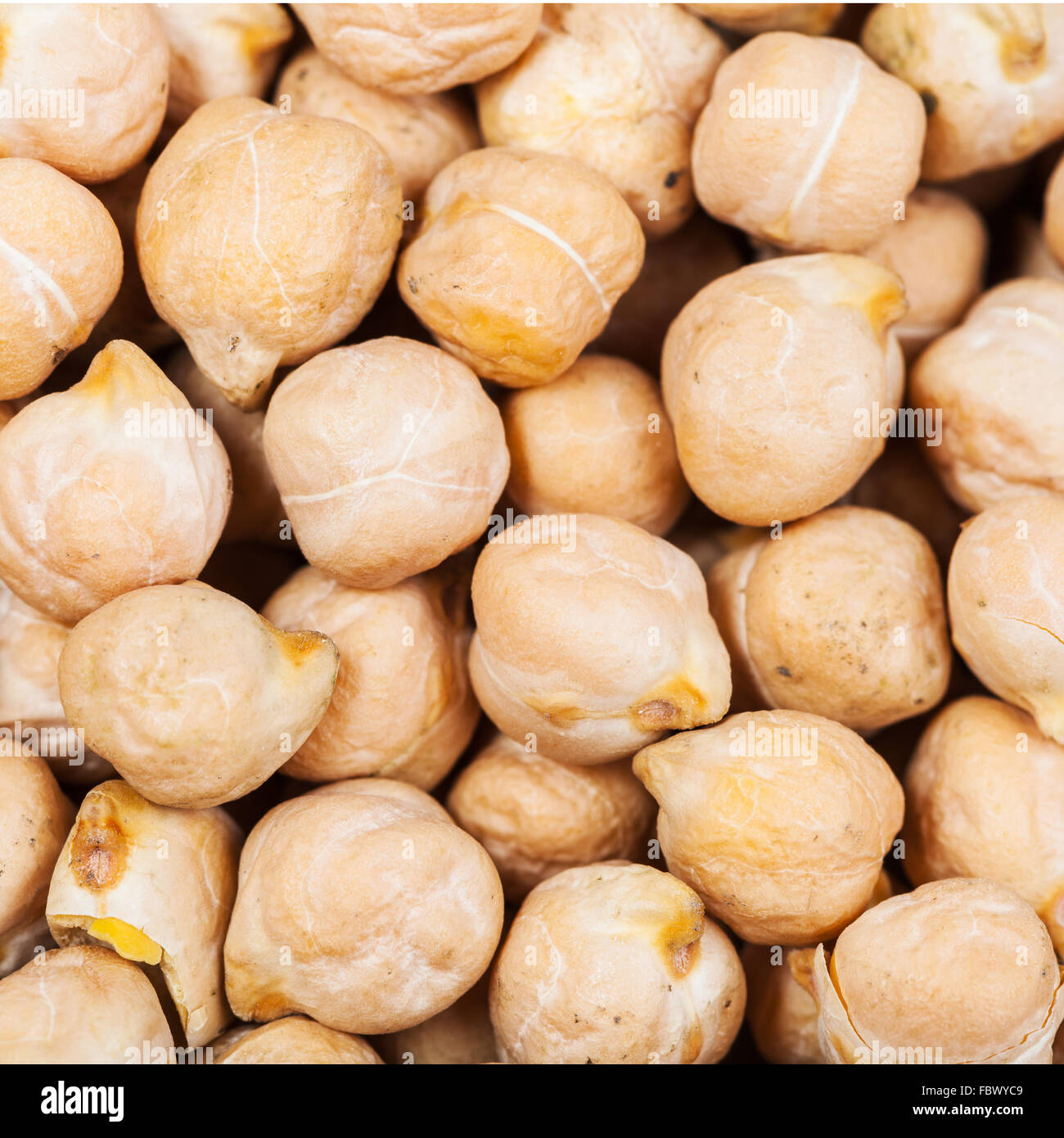 square food background - raw white chickpeas close up Stock Photo