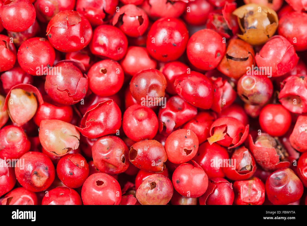 food background dried red pepper peppercorns Stock Photo Alamy