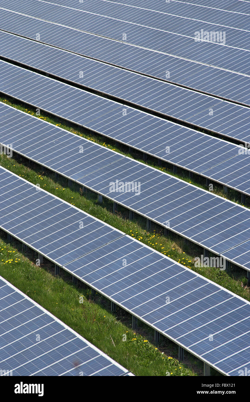 Solar field Stock Photo